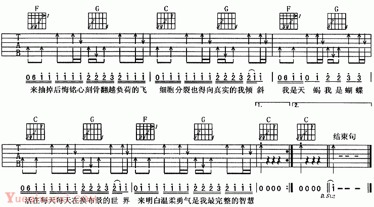 天蝎蝴蝶（阿杜）吉他谱