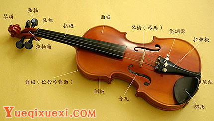 认识小提琴1