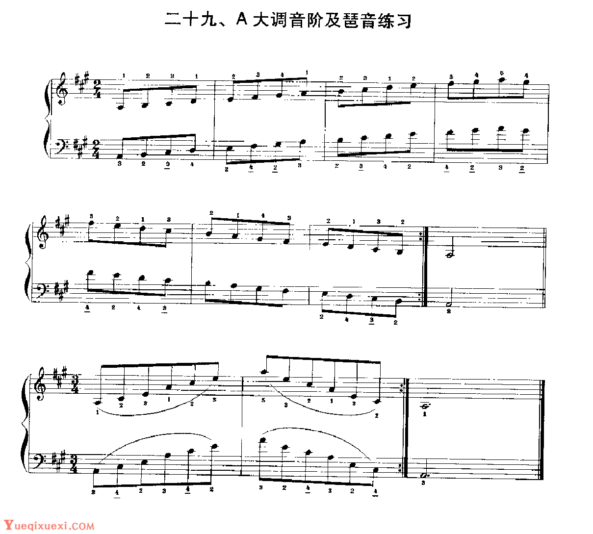 手风琴A大调音阶及琶音练习