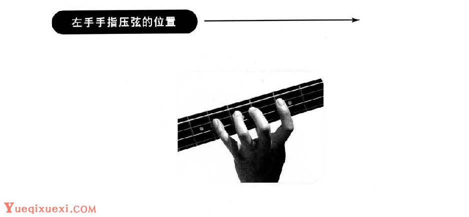 电贝司基础教程《左手手指压弦的位置》