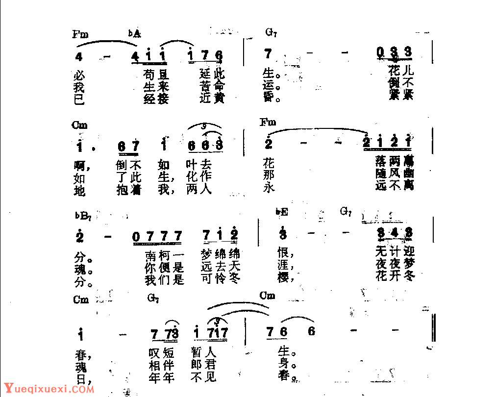 吉他伴奏日本流行歌曲《冬樱》高田高之词　三木高之曲