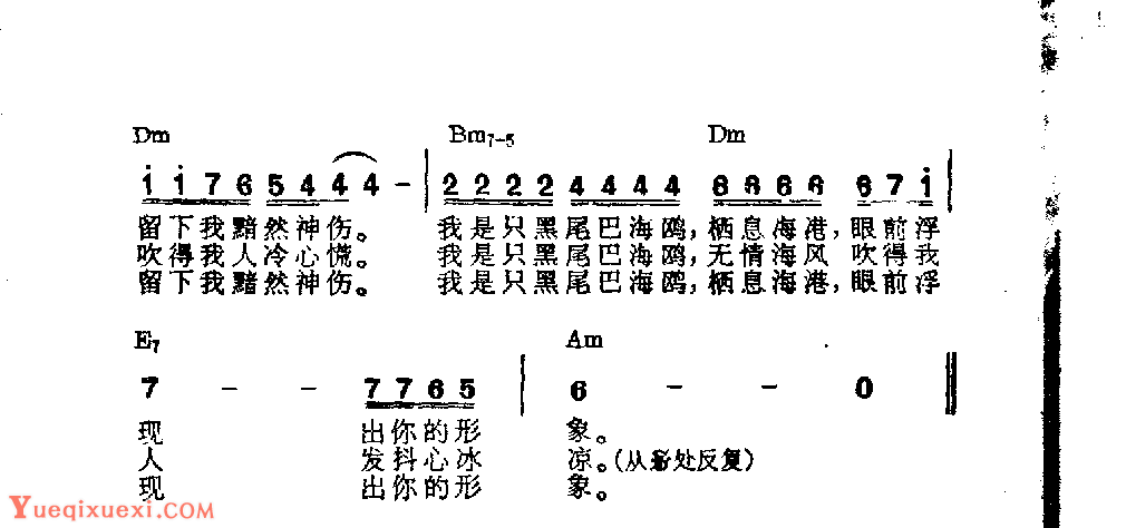 吉他伴奏日本流行歌曲《黑尾巴海鸥》高桥直人词　小林学曲