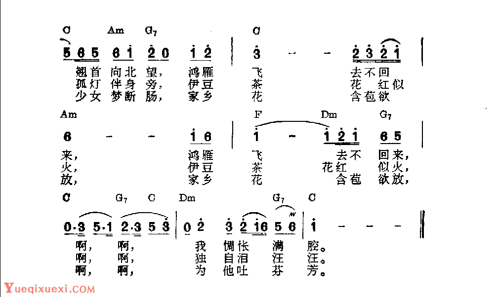 吉他伴奏日本流行歌曲《伊豆的相思茶花》星野哲郎词　市川昭介曲