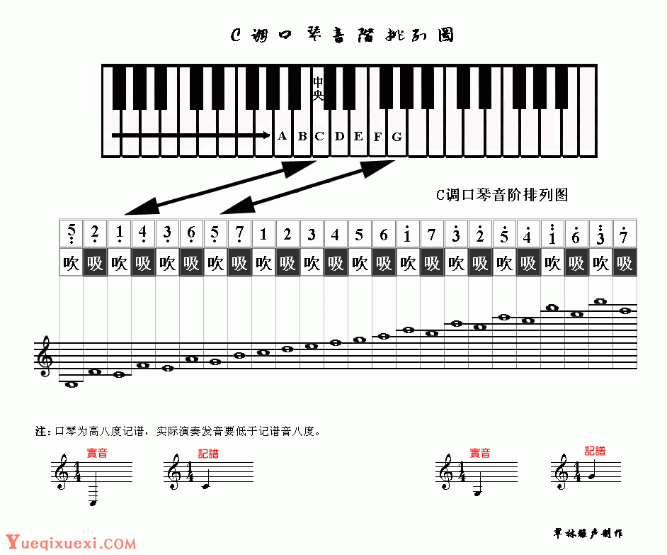 24孔口琴C调音阶排列图
