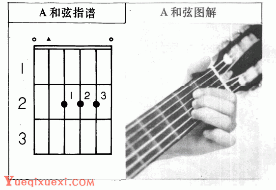 吉他左手技巧_吉他和弦指法标记图文教学