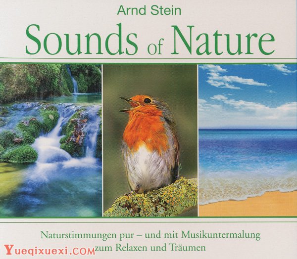 德国心灵音乐大师：阿恩德·斯泰恩（Arnd Stein）个人资料及照片