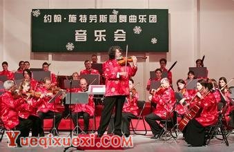 维也纳约翰·施特劳斯圆舞曲乐团(Vienna Johann Strauss Waltz Orchestra)简介