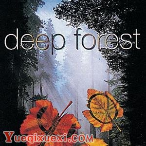 森林物语乐队（Deep Forest）简介