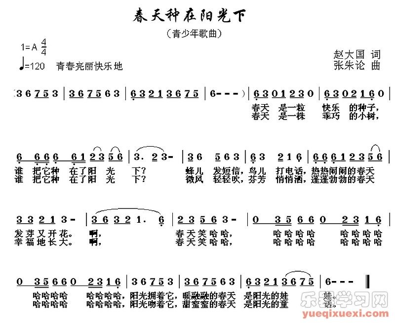 春天种在阳光下