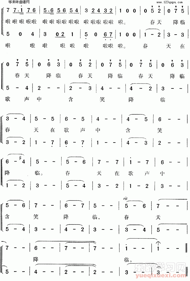 森林音乐会