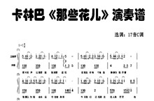 卡林巴《那些花儿》演奏谱