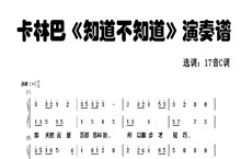 卡林巴琴演奏谱知不知道