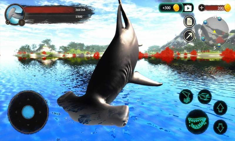 锤头鲨模拟器