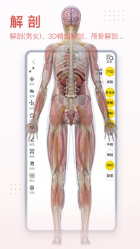 3dbody解剖最新版2022