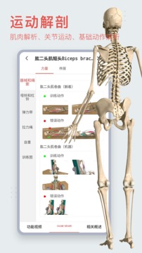 3dbody解剖最新版2022