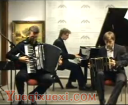 《Libertango》（自由探戈）手风琴表演视频