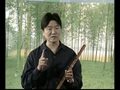 俞逊发笛子教程04:笛子的种类