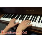 钢琴顿音、跳音、重音、震音等的不同弹法