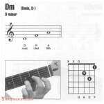 吉他小三和弦有哪些？吉他Dm和弦指法图 dm和弦怎么按