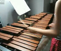 木琴独奏《野蜂飞舞》