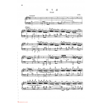 魏廷格 中国钢琴名曲30首【练习曲】杜鸣心