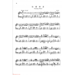 魏廷格 中国钢琴名曲30首【新疆舞曲】郭志鸿