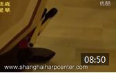 张小杰竖琴视频教学 第一课《如何安装竖琴弦》