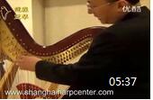 张小杰竖琴视频教学 第三课《竖琴弦的几种正确分类》