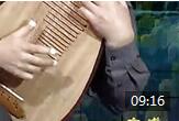 张强琵琶基础教程视频《琵琶曲天鹅讲解与示范》