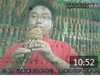 杨捌伍葫芦丝教学视频《婚誓 的演奏方法及技巧后部分视频分析》