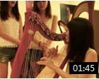 竖琴演奏视频欣赏《上海竖琴中心 冰雪飞组合 Demo》