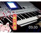 李聪电子琴演奏《红尘情歌 DJ》视频欣赏