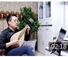 柳琴练习曲演奏《晴雯歌》视频欣赏