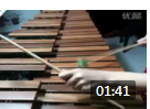 木琴独奏《野蜂飞舞》视频欣赏