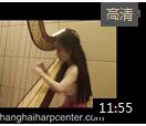 彭佳竖琴演奏《萨尔泽多 主题与变奏》视频欣赏