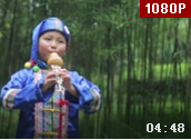 叶科良葫芦丝演奏《月光下的凤尾竹》视频欣赏