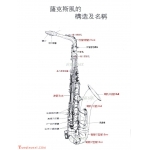 萨克斯结构介绍 萨克斯结构图文详解