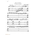 中国长笛曲《帕米尔的春天 The Spring in Parnirs》钢琴伴奏谱长笛分谱