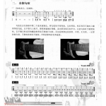 贝司击弦技术Slap《食指勾弦》