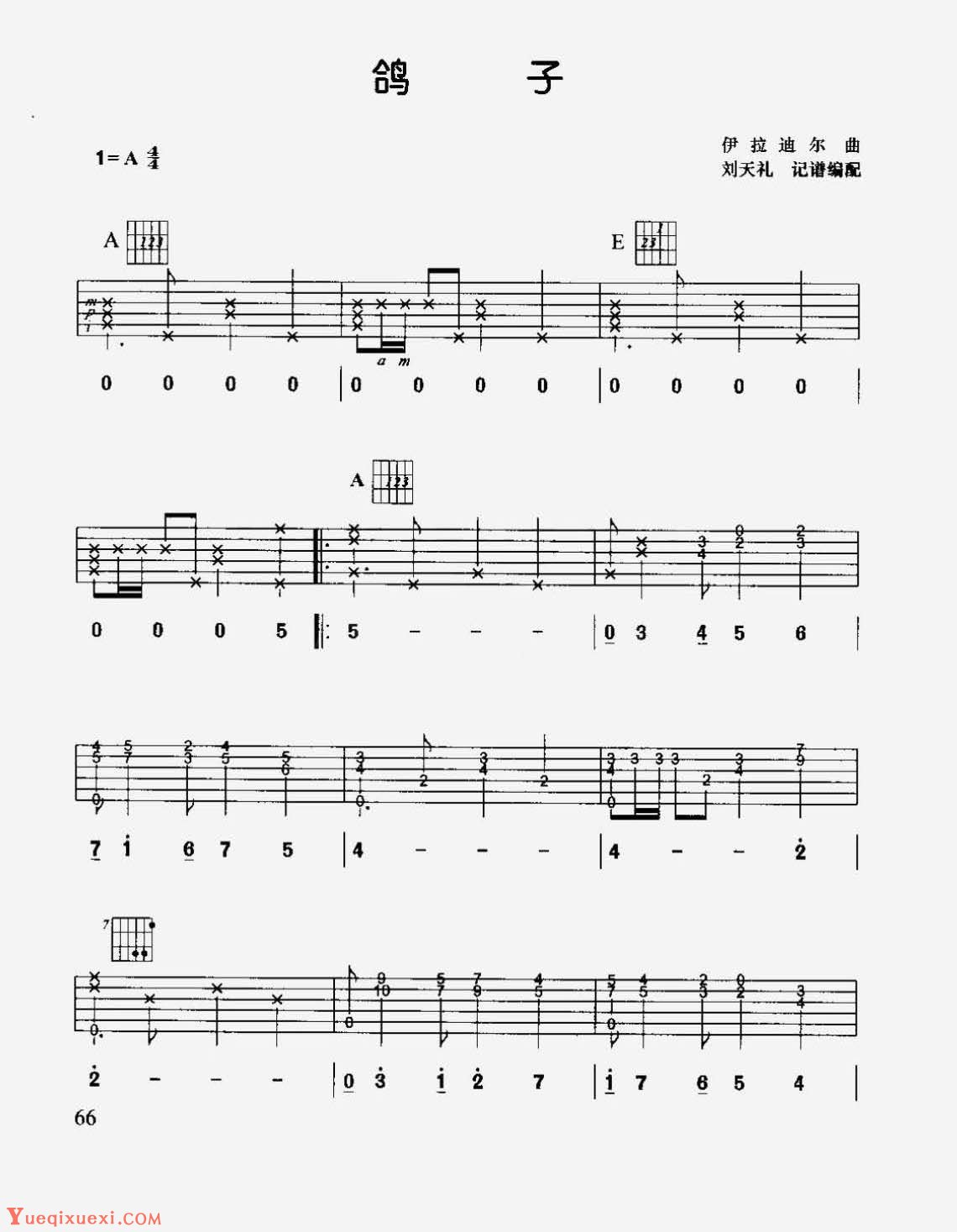 鸽子吉他谱 - 已拉迪尔 - 吉他独奏谱 - 琴谱网