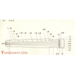 古琴各个部位的名称