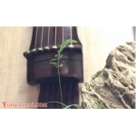 古琴自学不成功的原因及对应方法