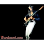 摇滚乐器 贝斯简介