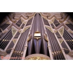 巴罗克管风琴和古钢琴发展史