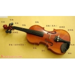 小提琴各个部位的中英文名称及其解释