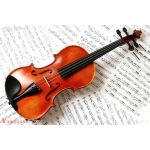 小提琴入门知识