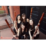 巴松（bassoon）简介