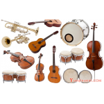 2019十大最好学的乐器