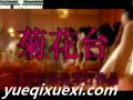菊花台葫芦丝曲欣赏