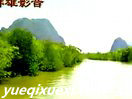 古琴曲流水古筝